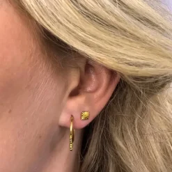 16,5 mm Creoler øreringe i forgyldt sølv