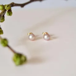 5,5 mm rosa perleøreringe i 14 karat guld