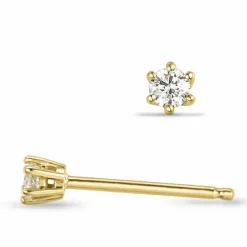 2 x 0,05 ct Kampagne - diamant ørestikker i 14 karat guld med diamant