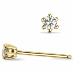 2 x 0,05 ct Kampagne - diamant ørestikker i 14 karat guld med diamant