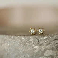 2 x 0,05 ct Kampagne - diamant solitaireørestikker i 14 karat guld med diamant