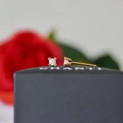 2 x 0,10 ct Kampagne - diamant solitaireørestikker i 14 karat guld med diamant