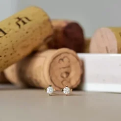 2 x 0,10 ct Kampagne - diamant solitaireørestikker i 14 karat guld med diamant