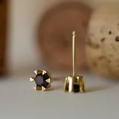 2 x 0,21 ct sorte solitaireørestikker i 14 karat guld med sort diamant
