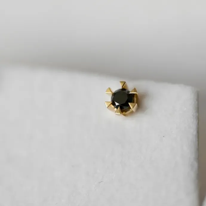 2 x 0,21 ct sorte solitaireørestikker i 14 karat guld med sort diamant