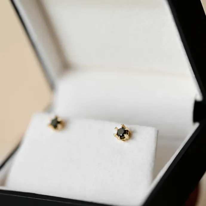 2 x 0,21 ct sorte solitaireørestikker i 14 karat guld med sort diamant