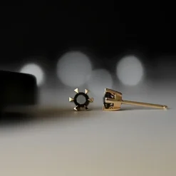2 x 0,21 ct sorte solitaireørestikker i 14 karat guld med sort diamant